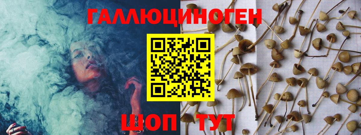 Псилоцибиновые грибы Psilocybine cubensis Владивосток