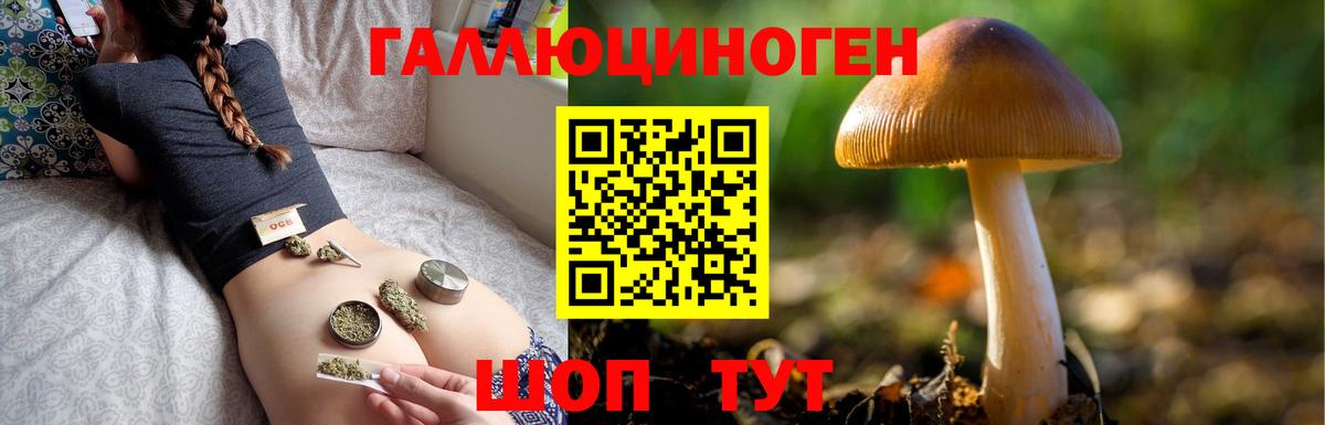 Псилоцибиновые грибы Psilocybine cubensis  Вход с VPN  Галлюциногенные грибы Magic Shrooms  Владивосток 