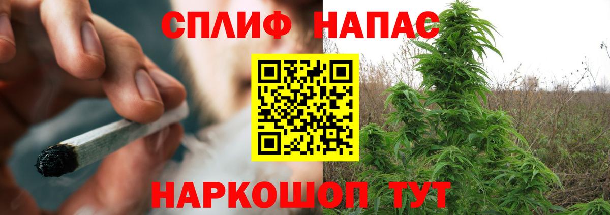 Бошки марихуана Amnesia Владивосток